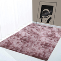 Ultra Soft Fluffy Indoor Modern Area Rug