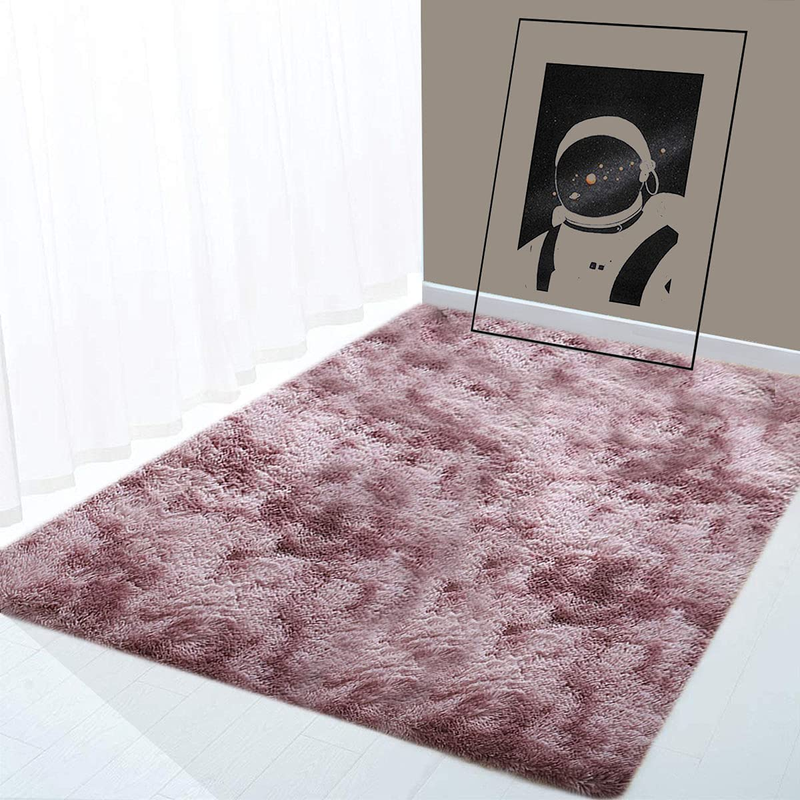 Ultra Soft Fluffy Indoor Modern Area Rug