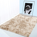 Ultra Soft Fluffy Indoor Modern Area Rug