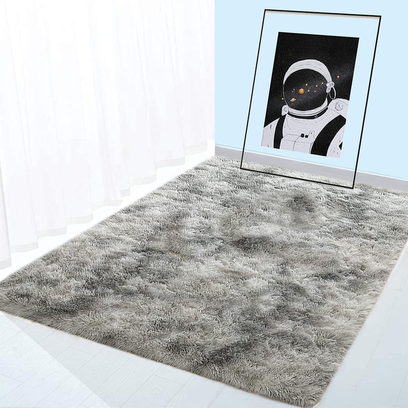 Ultra Soft Fluffy Indoor Modern Area Rug