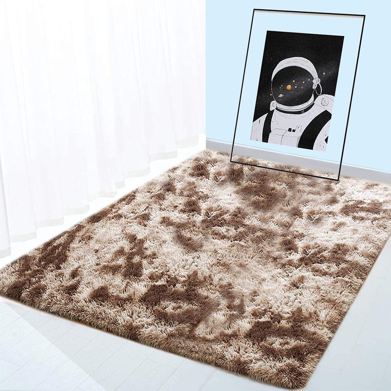 Ultra Soft Fluffy Indoor Modern Area Rug