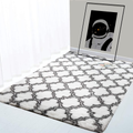 Ultra Soft Fluffy Indoor Modern Area Rug