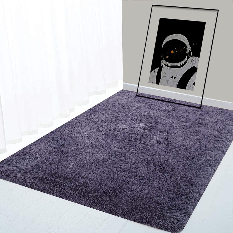 Ultra Soft Fluffy Indoor Modern Area Rug