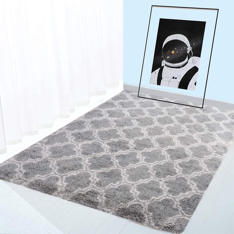 Ultra Soft Fluffy Indoor Modern Area Rug