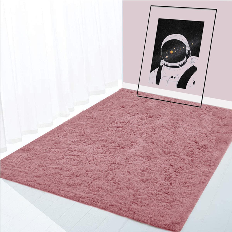 Ultra Soft Fluffy Indoor Modern Area Rug