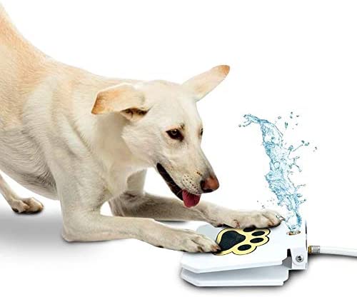 Automatic Outdoor Dog Water Fountain - Fry's Superstore